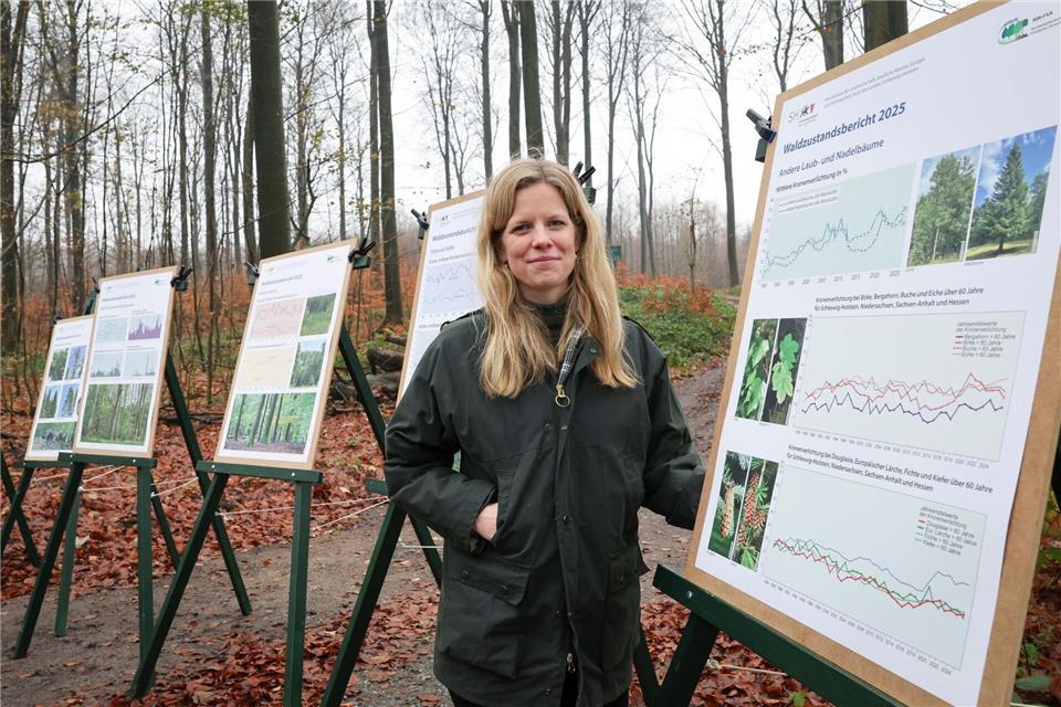Forstministerin Cornelia Schmachtenberg ist angesichts des leicht verbesserten Waldzustands vorsichtig optimistisch.Christian Charisius/dpa
