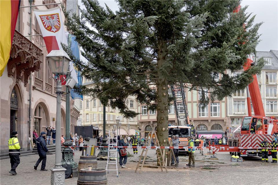 „Frau Holle“ ist rund 30 Meter hoch und 9,5 Tonnen schwer.Hannes Albert/dpa