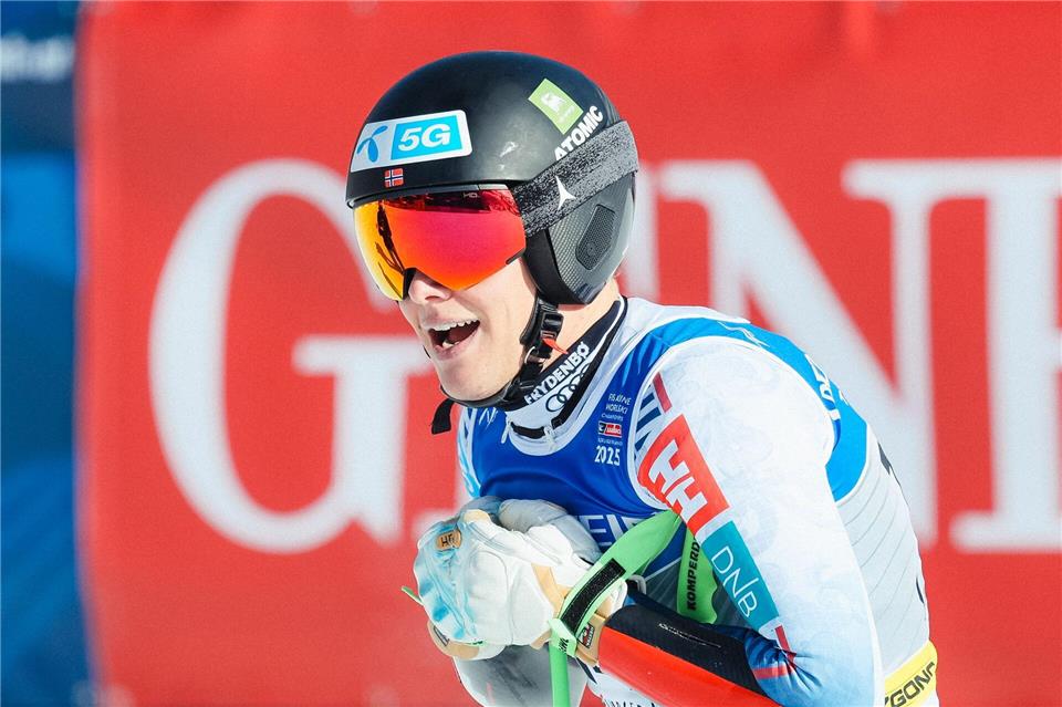 Fredrik Möller stürzte in der ersten der zwei Abfahrten von Gröden schwer. (Archivbild)Jens Büttner/dpa