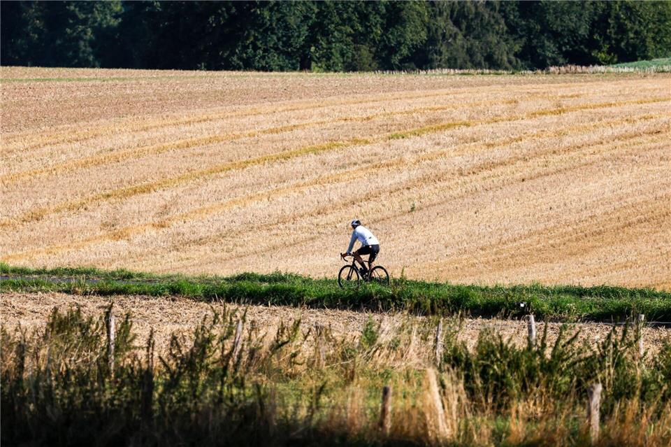 Freitag und Samstag eignen sich perfekt für spätsommerliche Ausflüge (Symbolbild)Thomas Banneyer/dpa