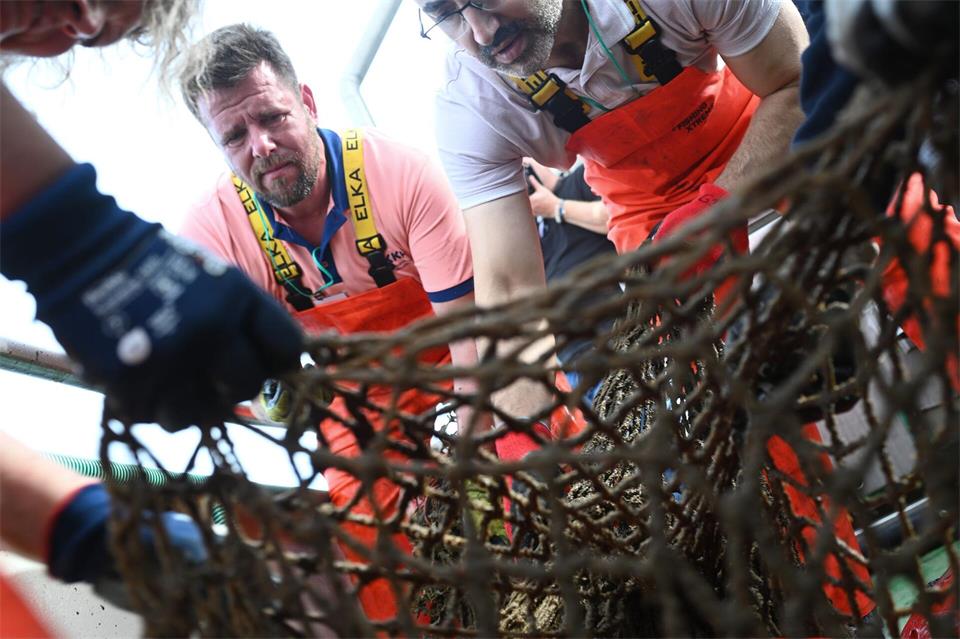 Freiwillige suchen an Deck die geborgenen Netze nach Meereslebewesen ab. Lars Penning/dpa