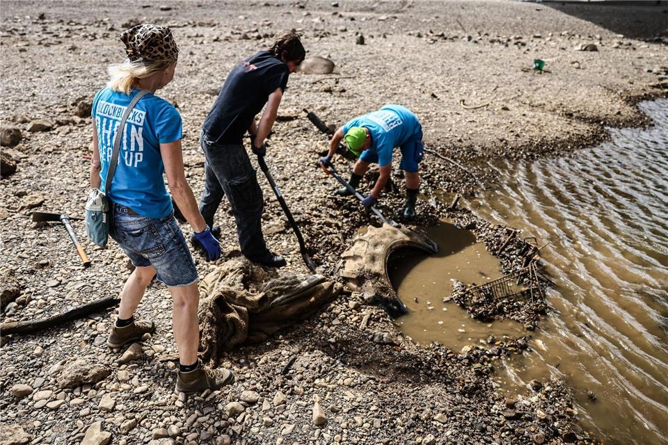 Freiwillige versuchen bei einer Müllsammelaktion bei Niedrigwasser am Rhein einen großen Reifen auszugraben. (Archivbild)Oliver Berg/dpa