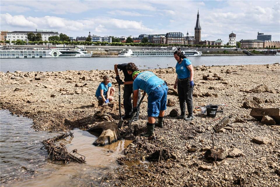 Freiwillige versuchen bei einer Müllsammelaktion bei Niedrigwasser am Rhein einen großen Reifen auszugraben. (Archivbild)Oliver Berg/dpa