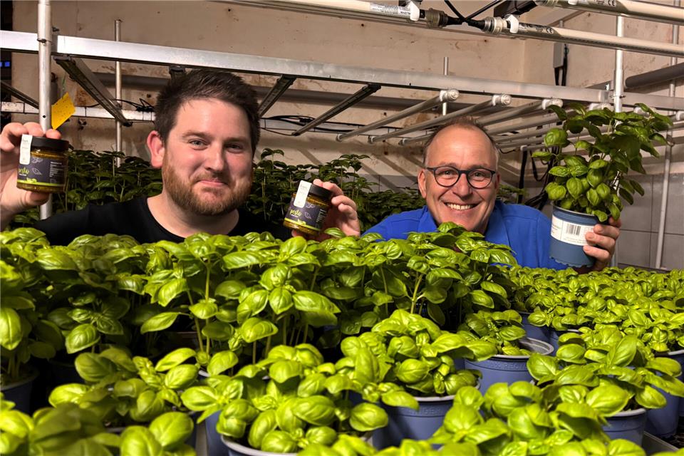 Freuen sich über die erste Ernte: Landwirt Stefan Lansmann-Niehaus (rechts) und David Strauch, der das Borkener Basilikum bereits für seine Pesto-Produktion erprobt.
