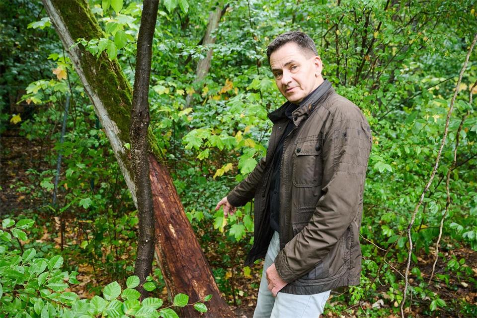 Friedhofsverwalter Olaf Ihlefeldt ist entsetzt: Der Friedhofs-Zaun wurde aufgeschnitten, Buchenholzteer als Lockmittel für Wildschweine an Bäumen hinterlassen. Annette Riedl/dpa