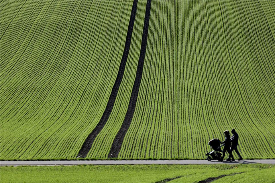 Freundlicher Mittwoch – Regen erst in der Nacht erwartet  Frische Luft und Sonnenstrahlen.Thomas Warnack/dpa
