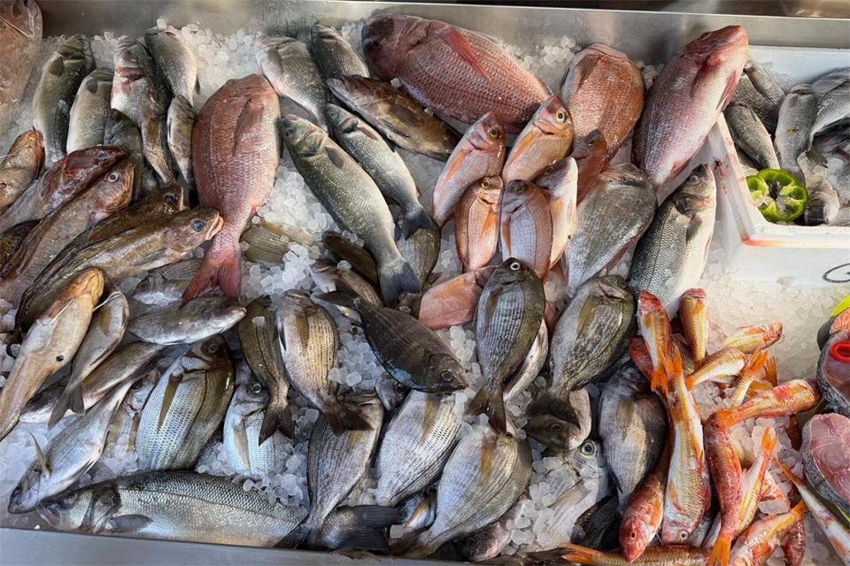 Frischen Fisch erkennt man unter anderen an den klaren, glänzenden Augen. Alexia Angelopoulou/dpa