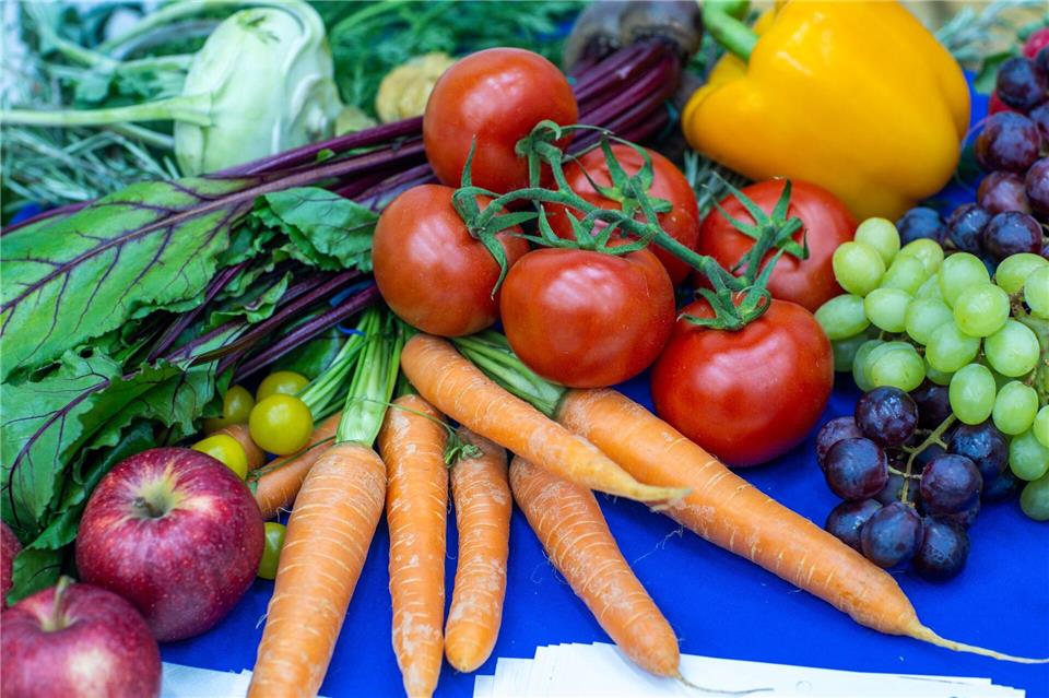 Frisches Obst und Gemüse soll es auch künftig für mehrere tausend Kinder im Saarland kostenlos geben. (Symbolbild)Jens Büttner/dpa