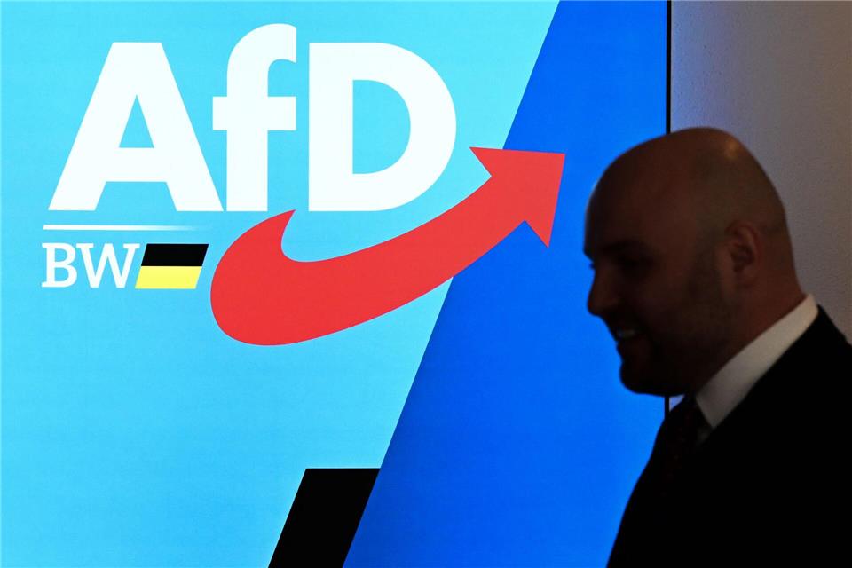 Frohnmaier befriedet den einst zerstrittenen Landesverband.Bernd Weißbrod/dpa