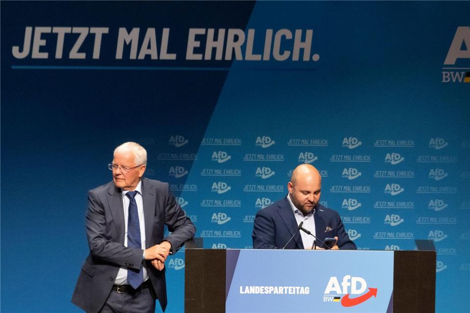 Frohnmaier und Sänze konnten den Landesverband befrieden.Stefan Puchner/dpa
