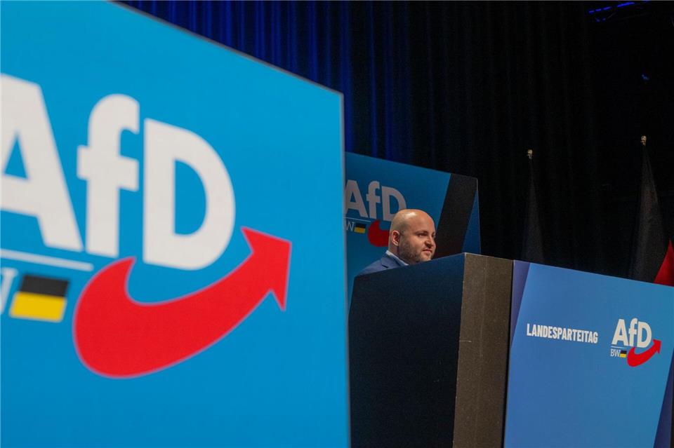 Frohnmaier zieht die Strippen im LandesverbandStefan Puchner/dpa