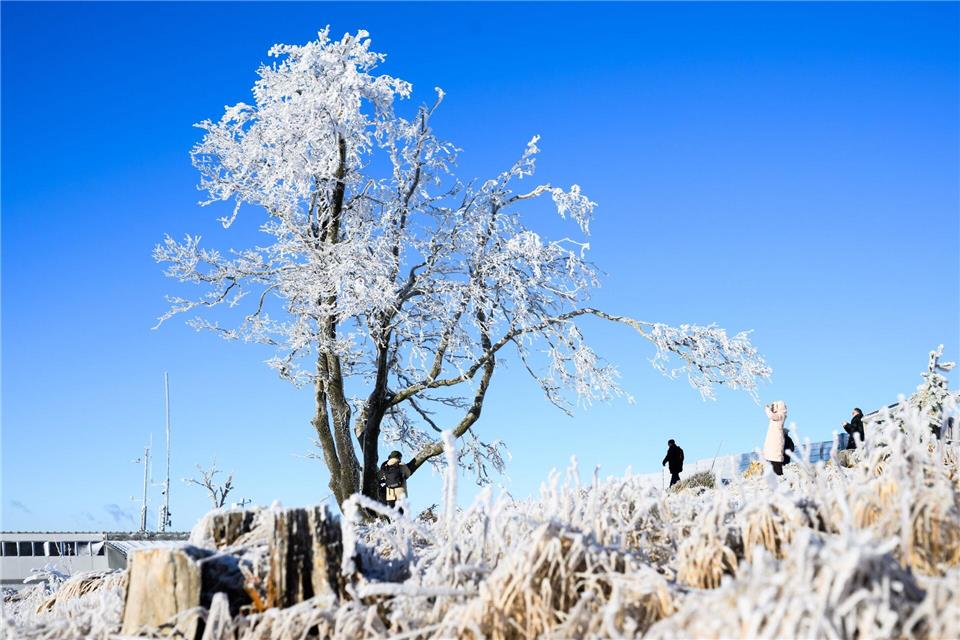 Frost hat die Landschaft weiß gefärbt.Julian Stratenschulte/dpa
