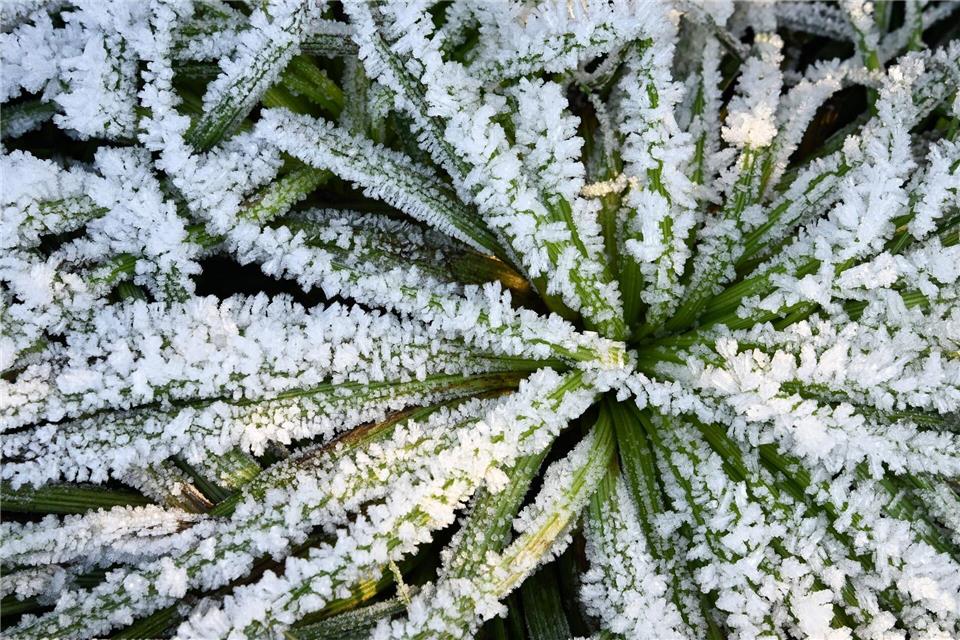 Frostiges Wetter in Hessen. (Symbolbild)Bernd Weißbrod/dpa