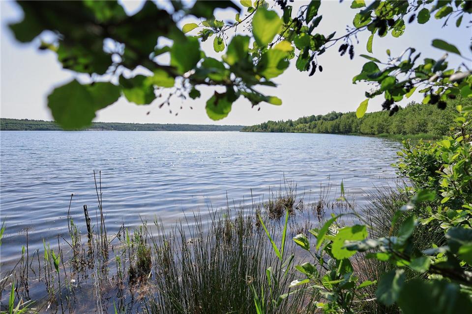 Früher Tagebau - heute Seeidylle: Am Bockwitzer See ist jetzt ein Naturlehrpfad entstanden.Jan Woitas/dpa