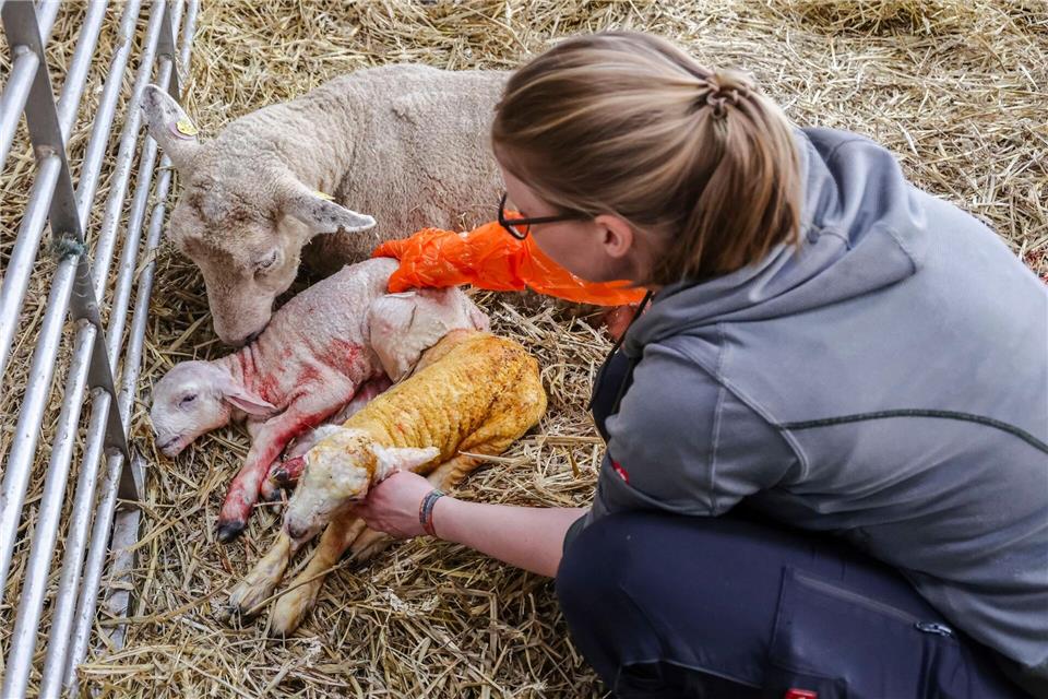Früher hat Jensen als Erzieherin gearbeitet.Frank Molter/dpa