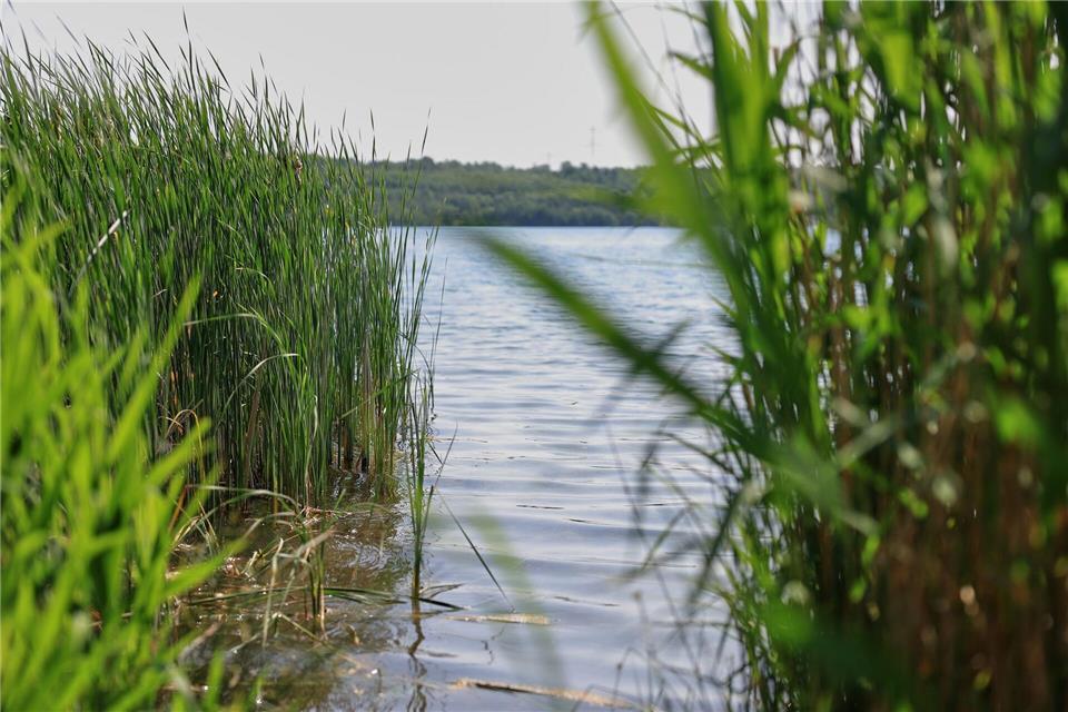 Früher wurde hier Braunkohle abgebaut: der Bockwitzer See.Jan Woitas/dpa