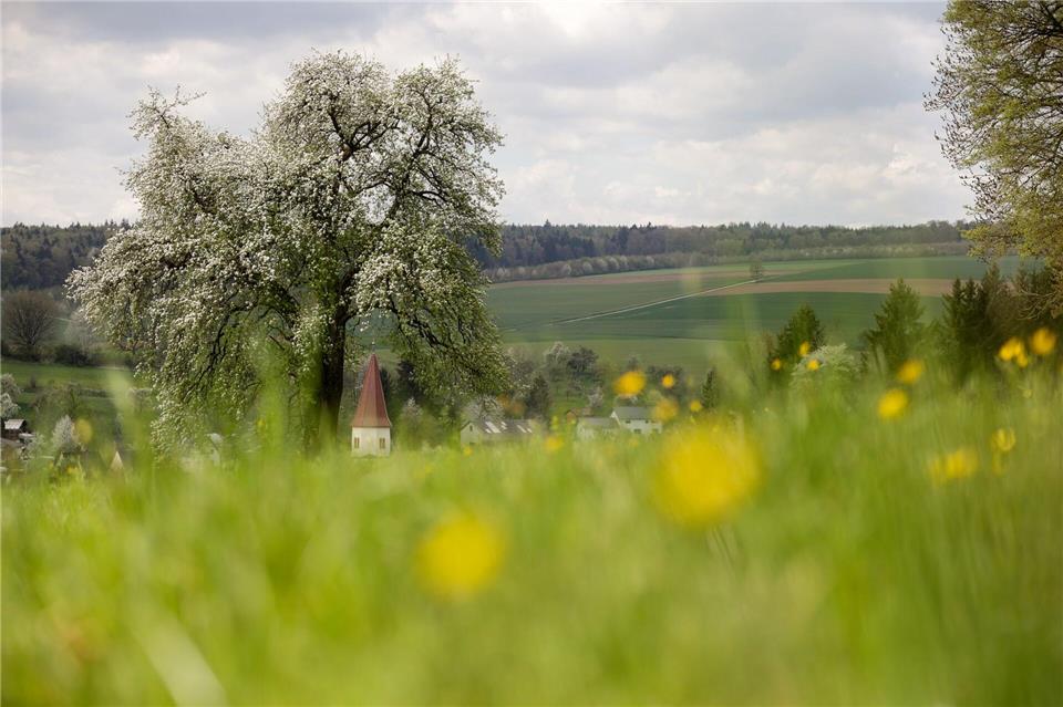 Frühlingsgefühle ade: Stattdessen sind im Land häufig Schauer möglich.Thomas Warnack/dpa