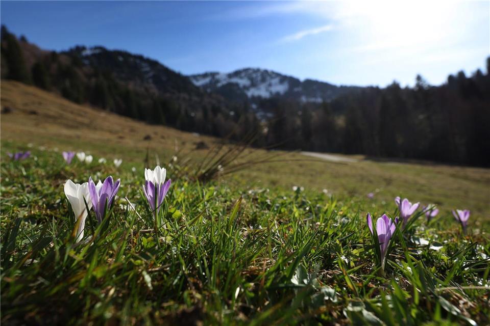 Frühlingsgefühle - und dann wieder Regen. Es bleibt das Aprilwetter. Karl-Josef Hildenbrand/dpa