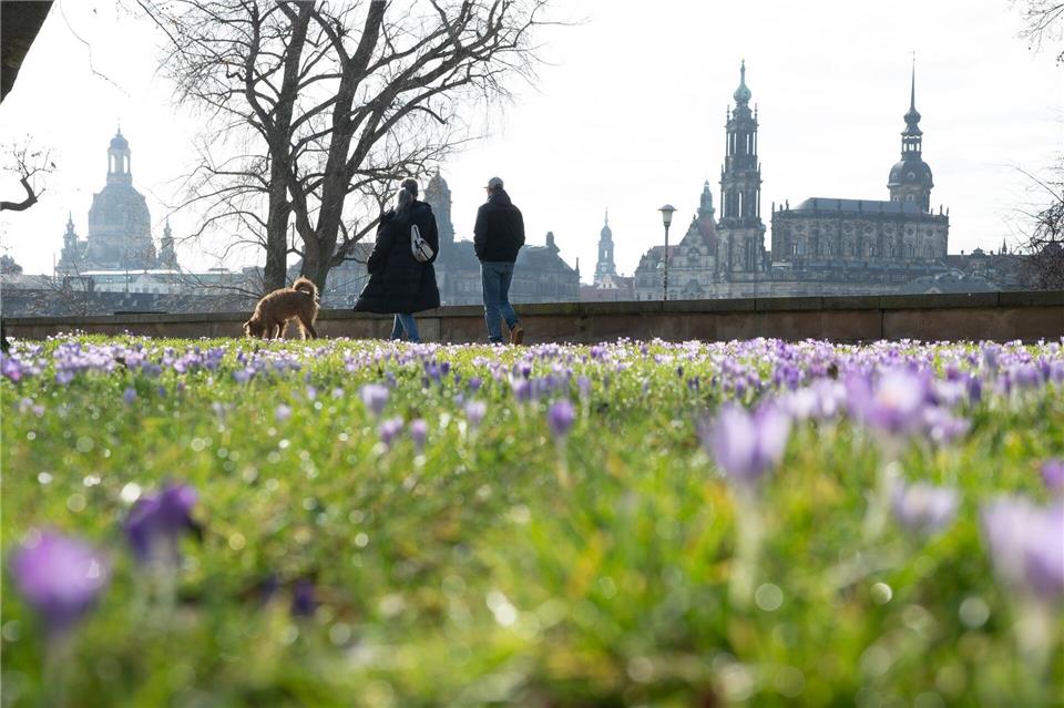 Frühlingshaftes Wetter kündigt sich schon vor dem meteorologischen Frühlingsbeginn am 1. März an.Sebastian Kahnert/dpa