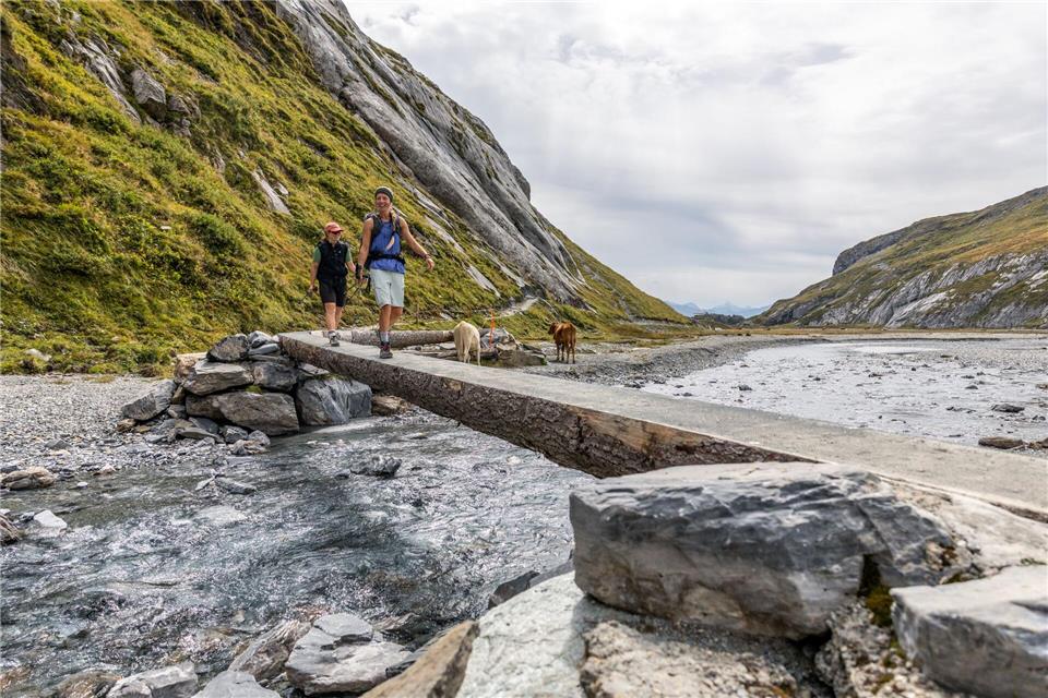Führt auch durch Hochtäler mit Gebirgsbächen und Rindern: Die Senda Sursilvana ist ein abwechslungsreicher Alpin-Wanderweg.Maximilian Gierl/Flims Laax/dpa-tmn