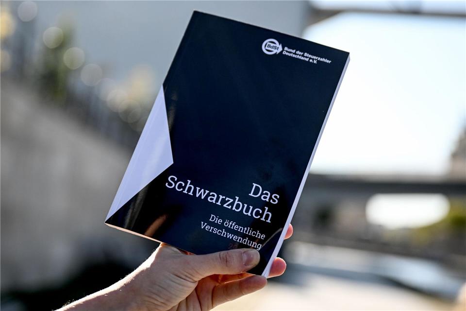Fünf Fälle aus Rheinland-Pfalz sind im Schwarzbuch aufgeführt.Britta Pedersen/dpa