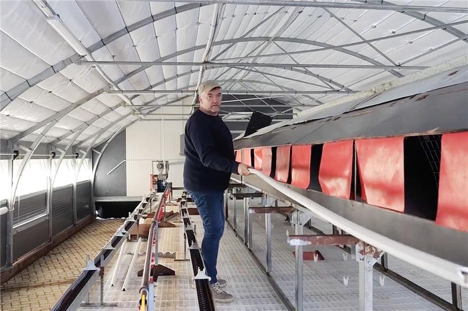 Für Bio-Landwirt Holger Nöhrnberg ist der Geflügelpest-Ausbruch eine Katastrophe.Jörn Hüneke/dpa