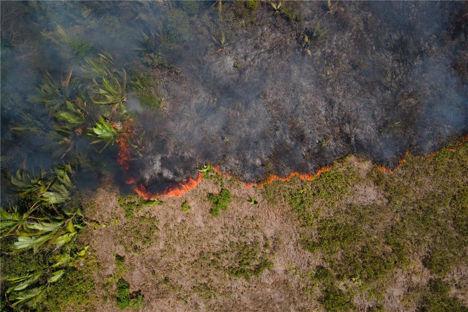 Für Brasiliens Regierung ist der Fonds namens Tropical Forest Forever Facility (TFFF) ein Prestigeprojekt. (Archivbild)Fernando Souza/ZUMA Press Wire/dpa
