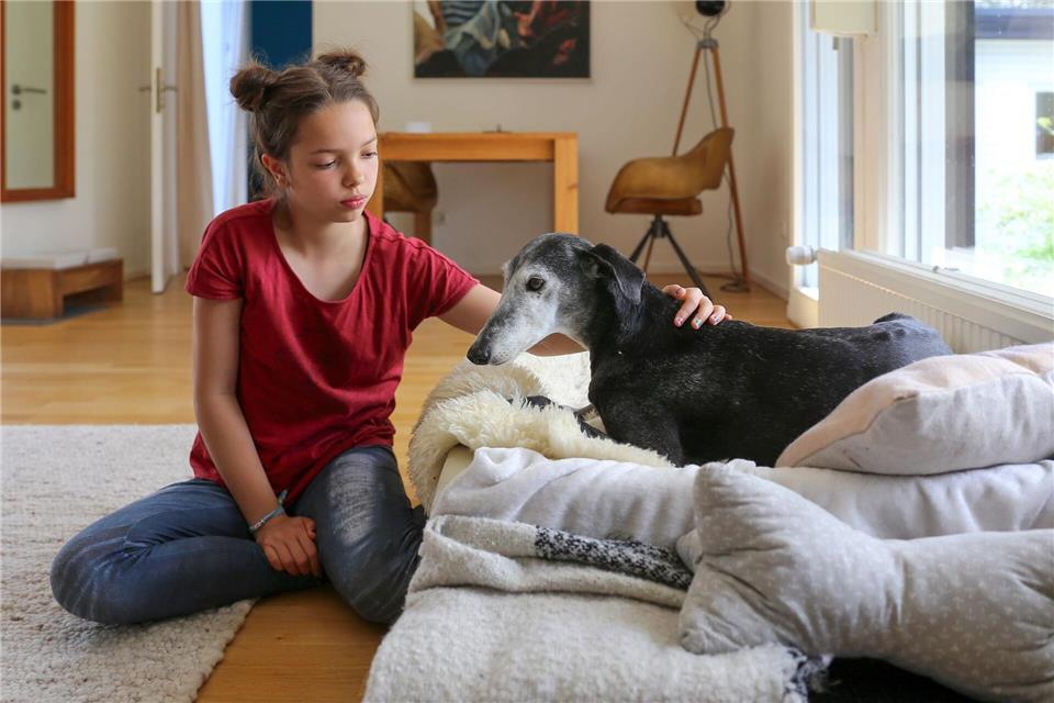 Für Kinder kann der Wunsch nach einem Haustier groß sein, doch die Verantwortung liegt bei den Eltern.Mascha Brichta/dpa-tmn