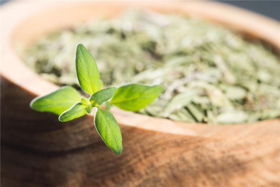 Für Küche und Gesundheit: Mit ätherischen Ölen wie Thymol fördert Thymian die Verdauung und wird traditionell als Heilpflanze gegen Husten und Erkältung eingesetzt.Franziska Gabbert/dpa-tmn