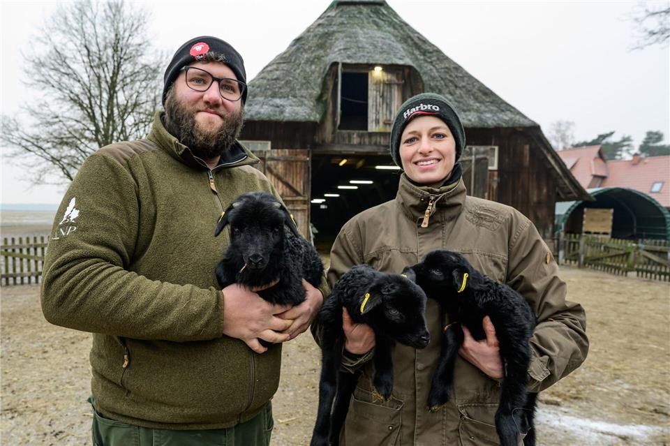 Für Schäfer und Schäferinnen wie Clemens Lippschus und Josefine Schön ist die derzeitige Lammzeit eine extrem intensive und arbeitsreiche Zeit.Philipp Schulze/dpa