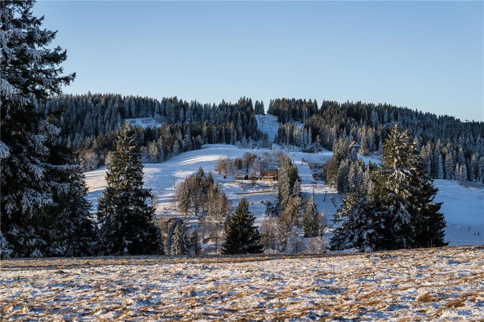 Für Schnee-Fans macht der Blick in die kommende Woche Hoffnung: Am Silvestertag wird es laut DWD bewölkter und es schneit. (Archivbild)Silas Stein/dpa