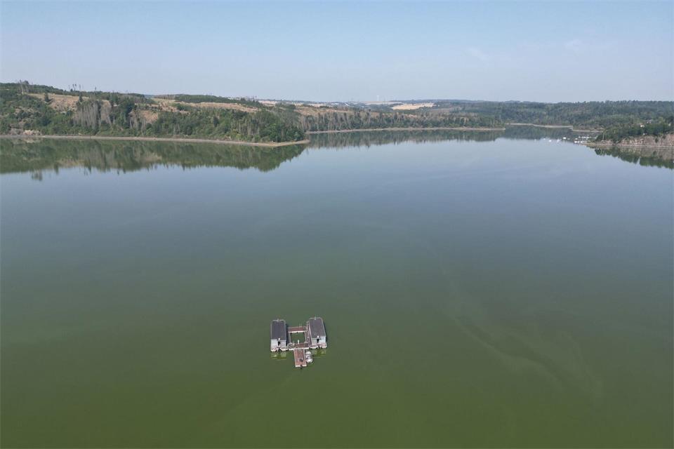 Für das Strandbad Saalburg am Bleilochstausee gilt wegen Blaualgen eine Badewarnung. (Archivbild) Bodo Schackow/dpa