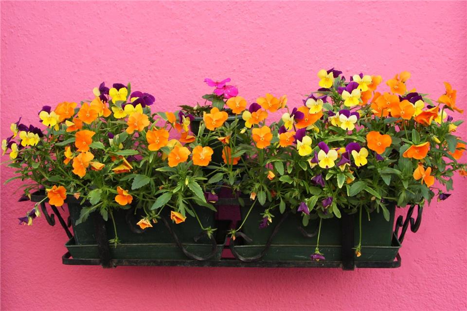 So wird der Balkon fit fr den Frhling
