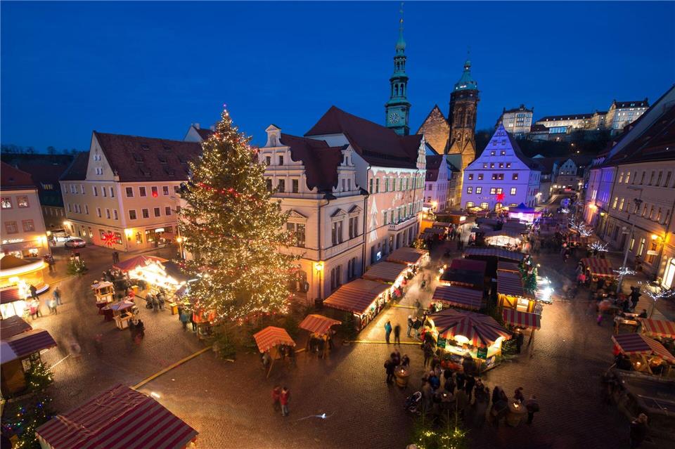 Für den Canalettomarkt in Pirna wird ein 12 bis 14 Meter hoher Baum gesucht. (Archivbild)Sebastian Kahnert/dpa-Zentralbild/dpa