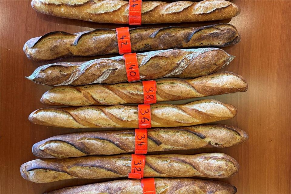 Für den Grand Prix de la Baguette wurden die Brote nach Kriterien wie Geschmack, Geruch, Kruste und Textur beurteilt.Michael Evers/dpa