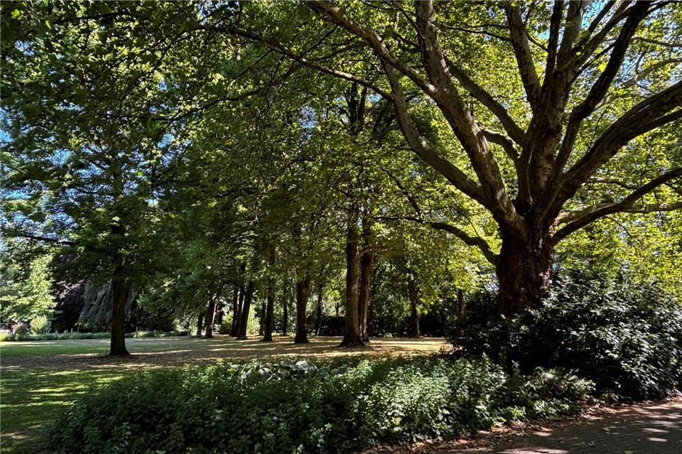 Für den Stadtpark in Borken soll die Stadtverwaltung eine Aufwertung prüfen.