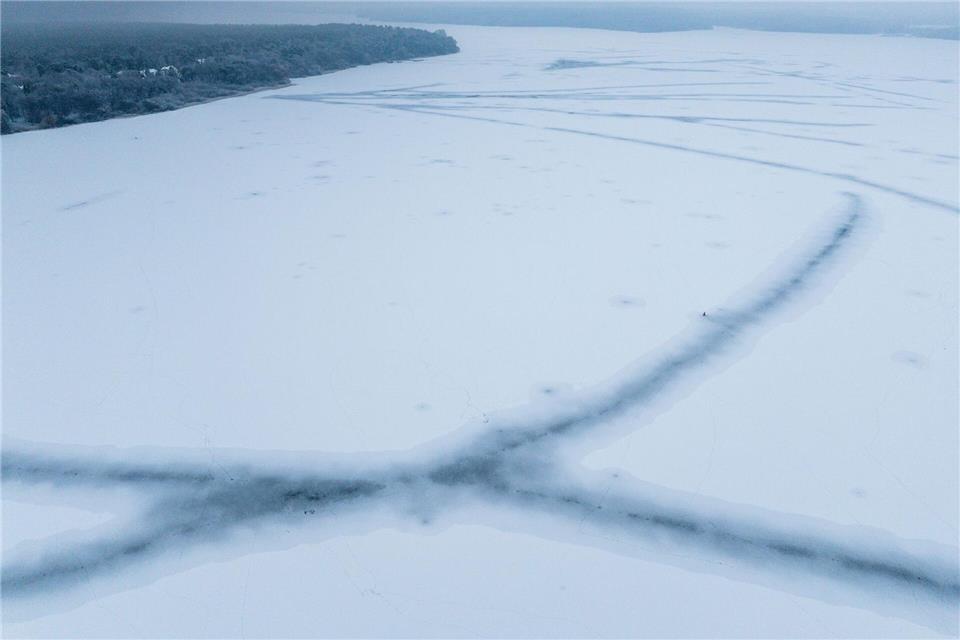 Für die Fische wirkt das Eis nach Aussage eines Experten „beruhigend“.Jens Büttner/dpa