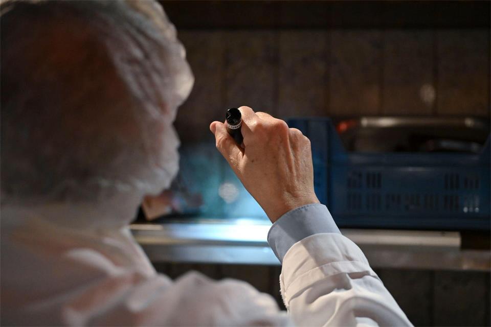 Für die Recherche hatte Foodwatch nach eigenen Angaben bundesweit rund 400 kommunale Behörden befragt. (Symbolbild)Katharina Kausche/dpa