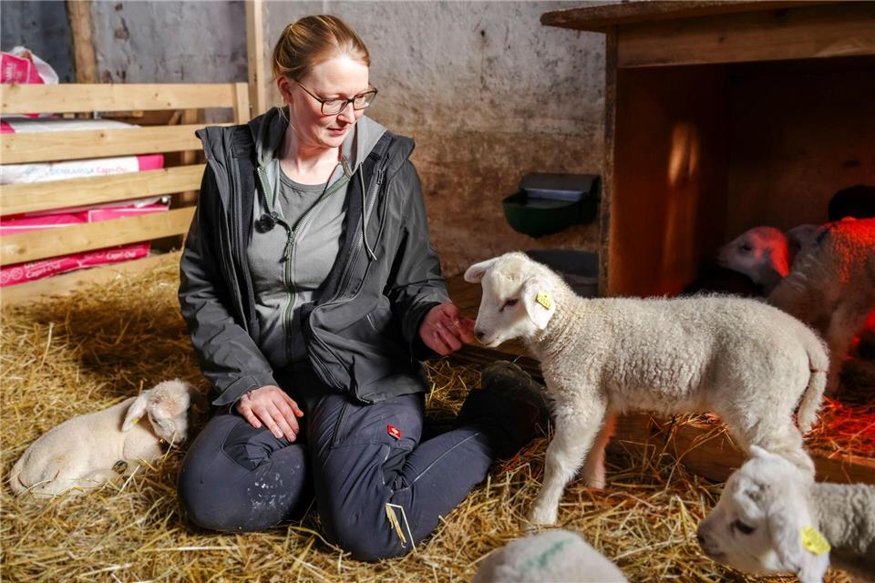 Für die Schäferin ist die Lammzeit die schönste Zeit des Jahres.Frank Molter/dpa
