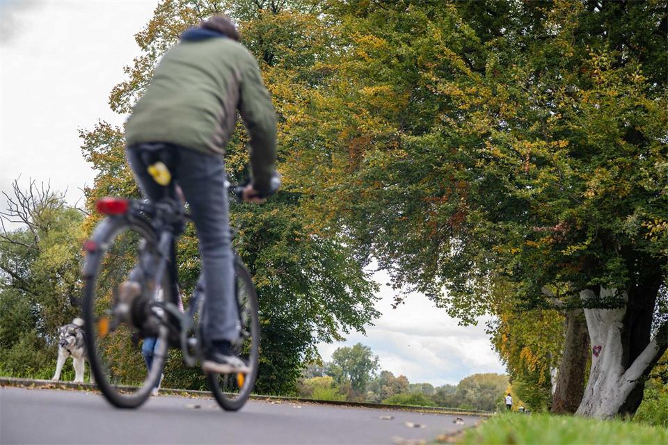 Für die kommenden Tage erwartet der DWD windiges und regnerisches Wetter in NRW. (Symbolfoto)Benjamin Westhoff/dpa