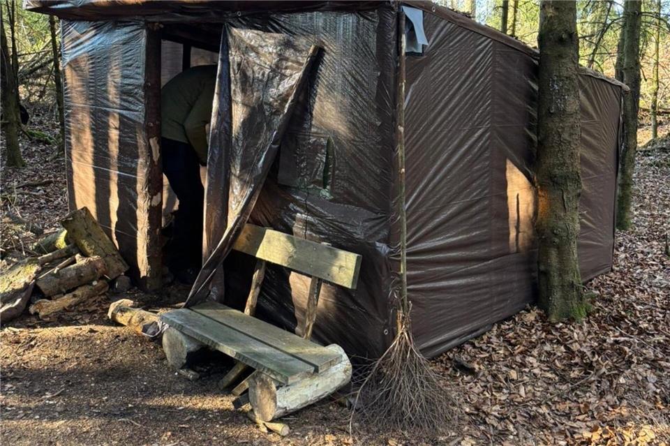 Für die verbotenen Unterstände werden teils Bäume gefällt. -/Hessen Forst/dpa