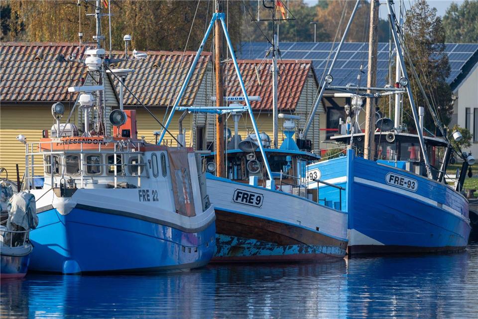 Für die vorpommerschen Fischer aus Freest war die Heringssaison nach eigenen Angaben bislang nicht gut. (Archivbild)Stefan Sauer/dpa
