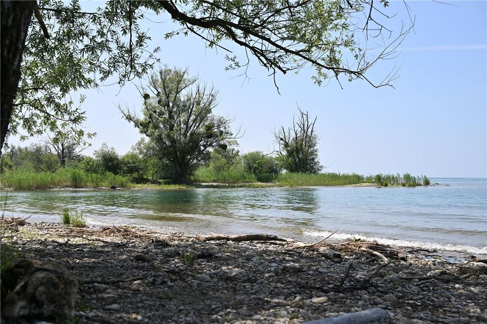 Für einen Abschnitt am Mehrerauer Seeufer soll eine Nacktbadeverordnung erlassen werden. Felix Kästle/dpa