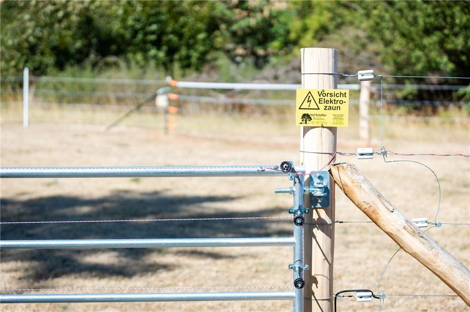 Für einen effektiven Schutz vor Wölfen, müssen nicht nur Zäune, sondern auch Tore und Gatter unter Strom gesetzt werden. Laszlo Pinter/dpa