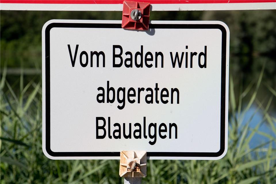 Für einige wenige Badestellen in Schleswig-Holstein, Hamburg und Mecklenburg-Vorpommern wurden Badewarnungen und auch Verbote ausgesprochen – etwa wegen Blaualgen. (Symbolbild)Julian Stratenschulte/dpa