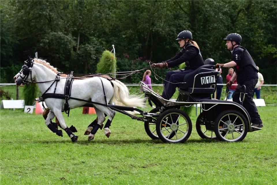 Für rassigen Fahrsport steht der „Fahrertag“ der Fahrsportfreunde Ramsdorf. Am Sonntag feiert der sein Comeback.