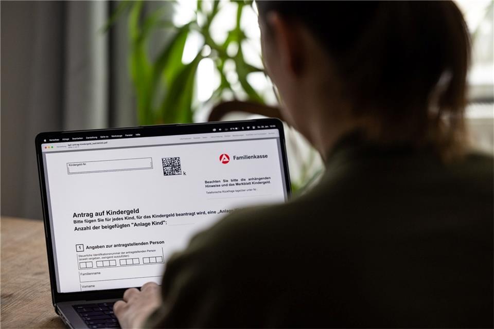 Für rund 313.000 Kinder im Ausland wurde Ende vergangenes Jahr Kindergeld gezahlt.
