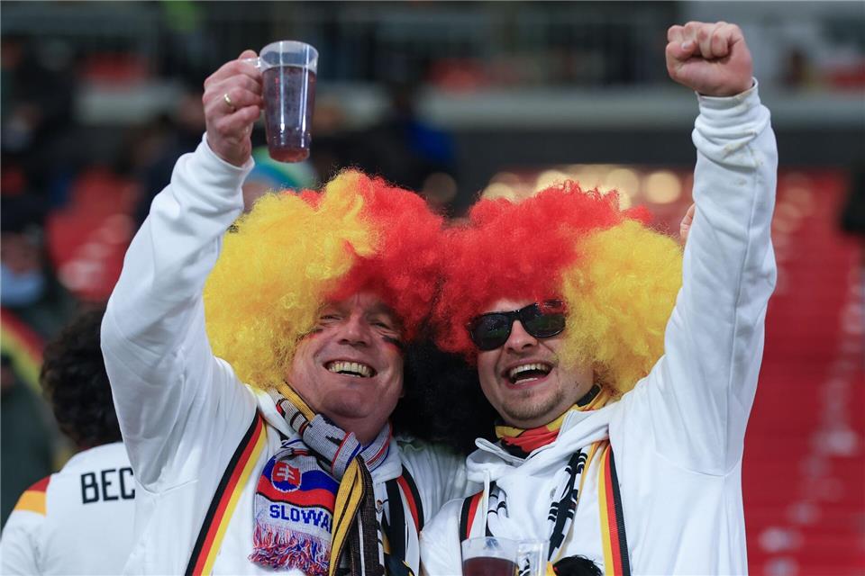Für treue Fans gibt es günstigere Tickets bei der Fußball-WM. (Archivbild).Jan Woitas/dpa