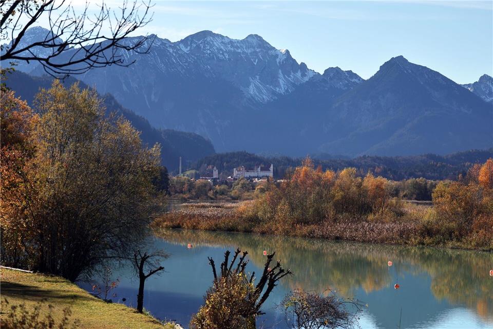 Füssen: Das Hohe Schloss thront hinter dem ForggenseeKarl-Josef Hildenbrand/dpa