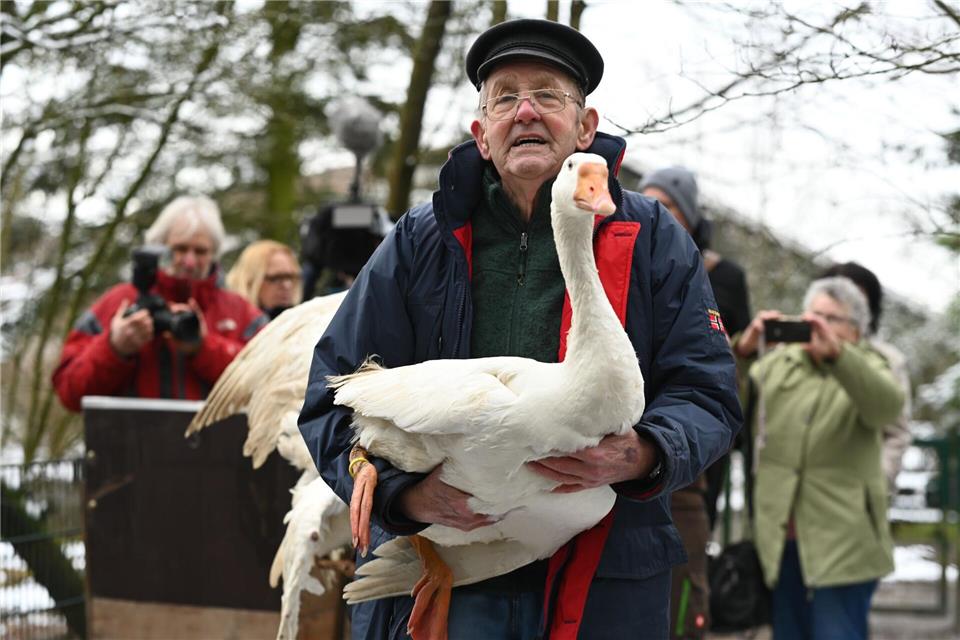 Gänsehalter Ludwig Smidt gibt seine drei verbliebenen Gänse persönlich im Tierpark ab.Lars Penning/dpa